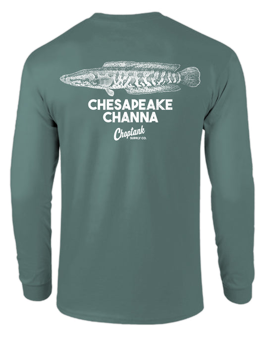 CHESAPEAKE CHANNA, ADULT LS