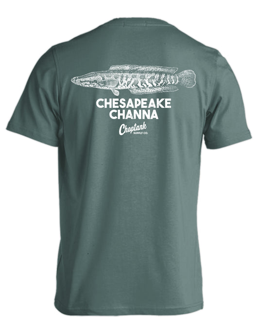 CHESAPEAKE CHANNA