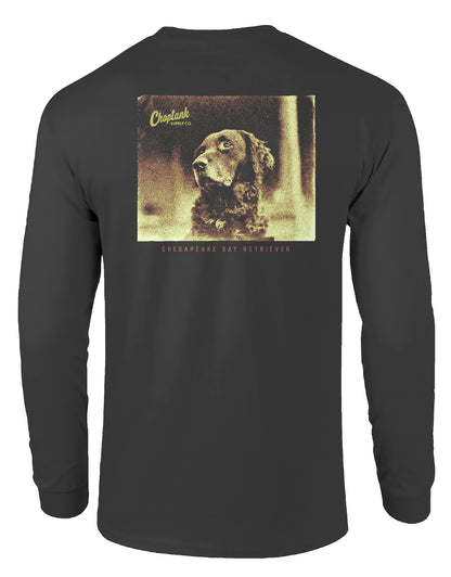 CHESAPEAKE BAY RETRIEVER, ADULT LS