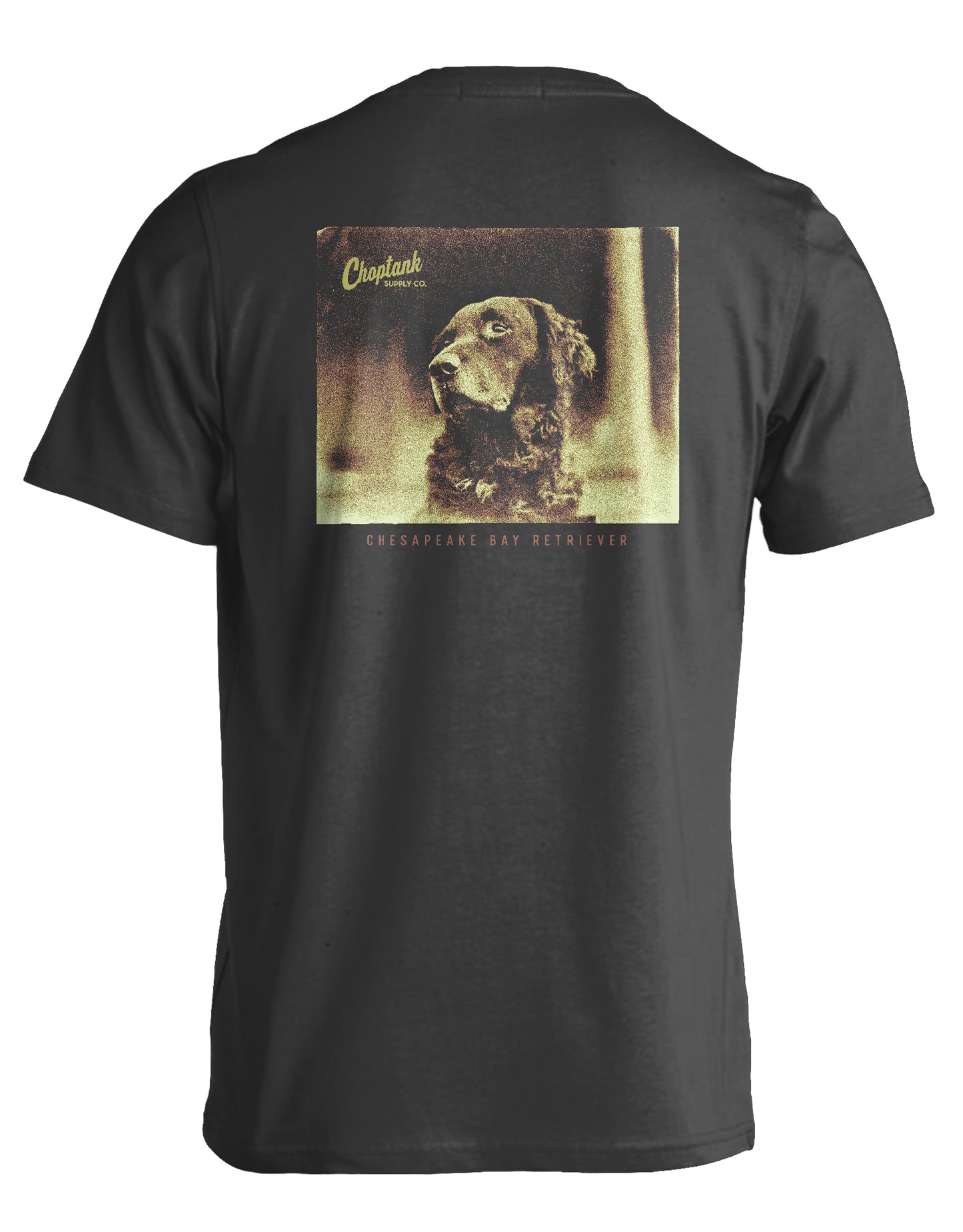 CHESAPEAKE BAY RETRIEVER
