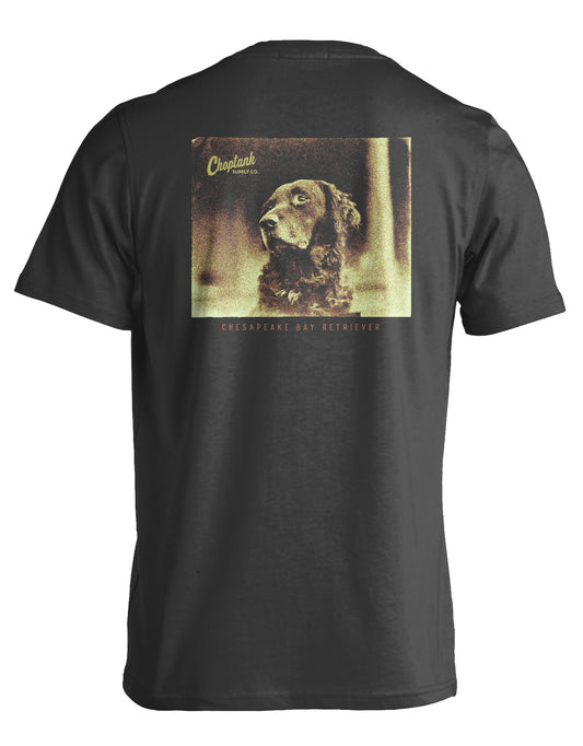 CHESAPEAKE BAY RETRIEVER